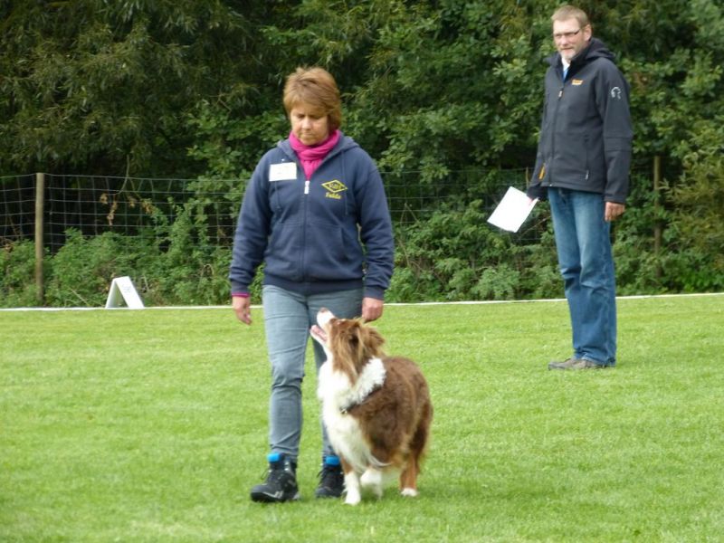 Obedience Prüfung 2015