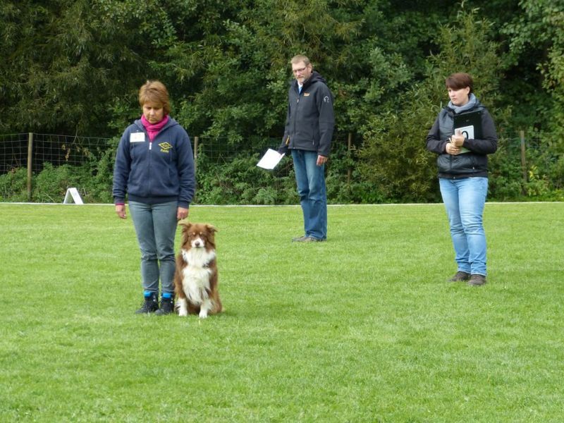 Obedience Prüfung 2015