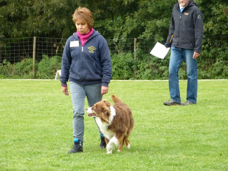 Obedience Prüfung 2015