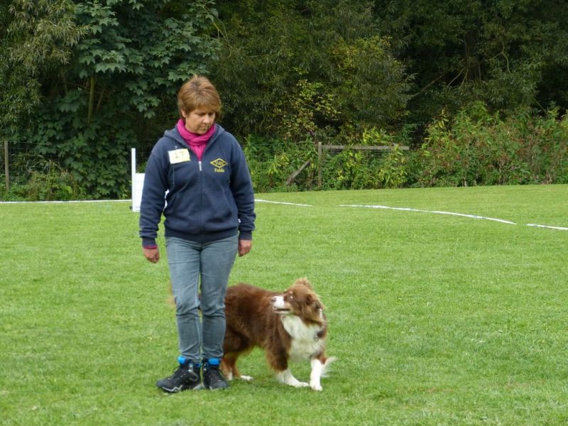 Obedience Prüfung 2015