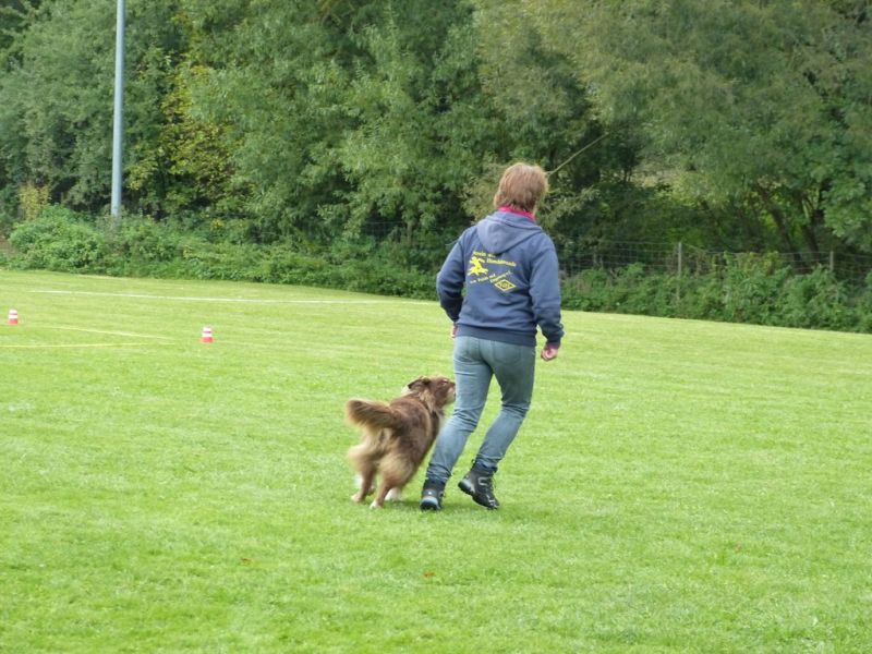 Obedience Prüfung 2015