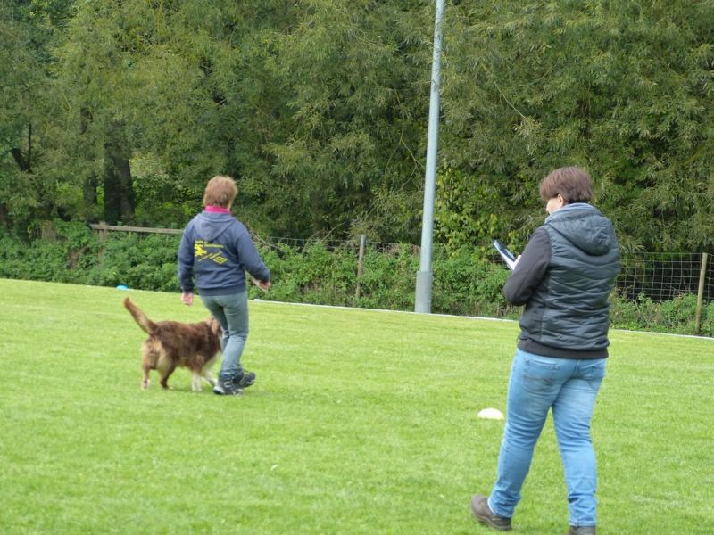 Obedience Prüfung 2015