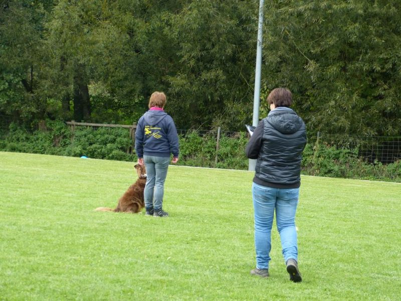 Obedience Prüfung 2015