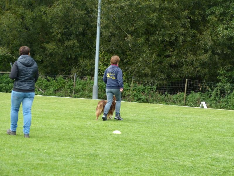 Obedience Prüfung 2015
