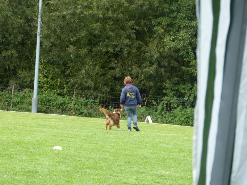 Obedience Prüfung 2015