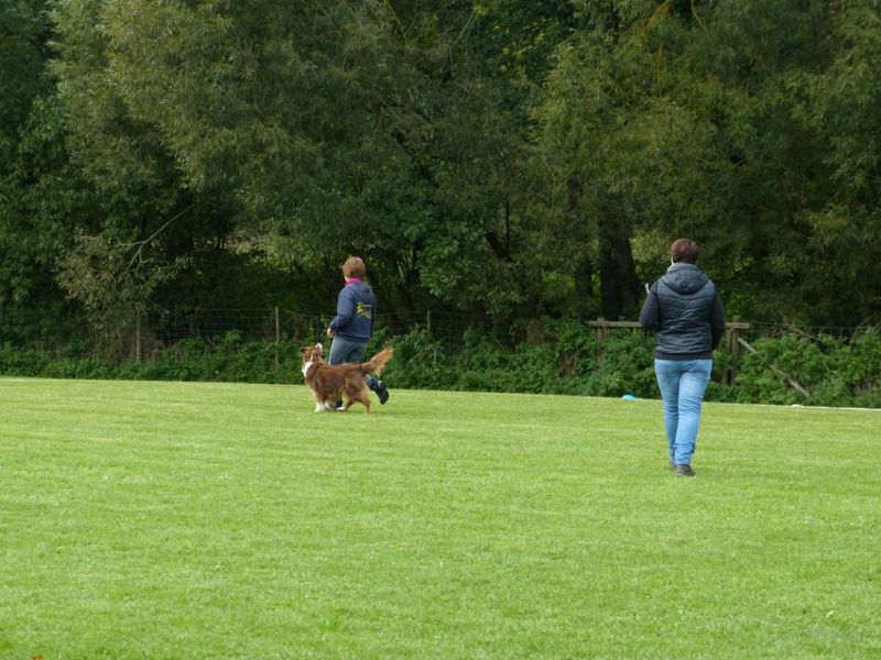 Obedience Prüfung 2015