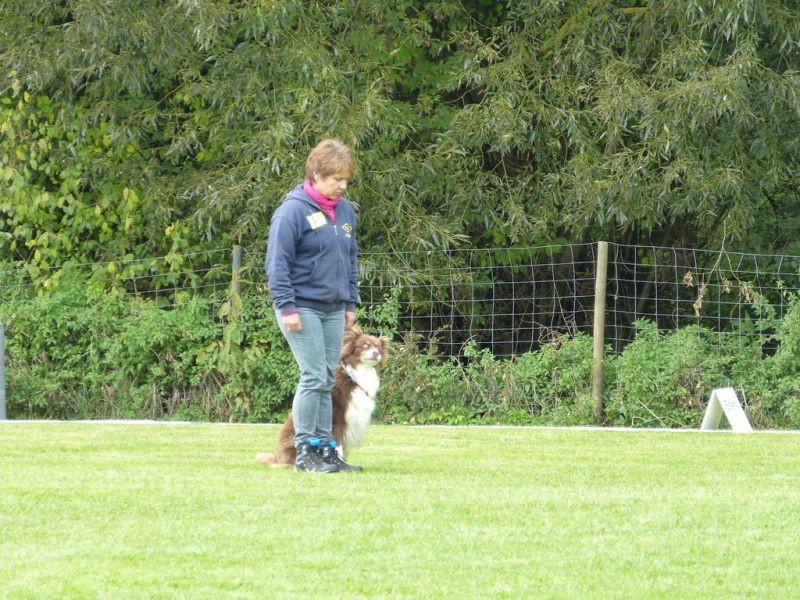 Obedience Prüfung 2015