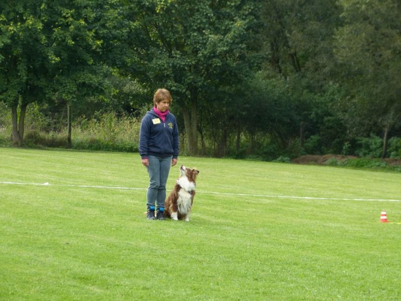Obedience Prüfung 2015