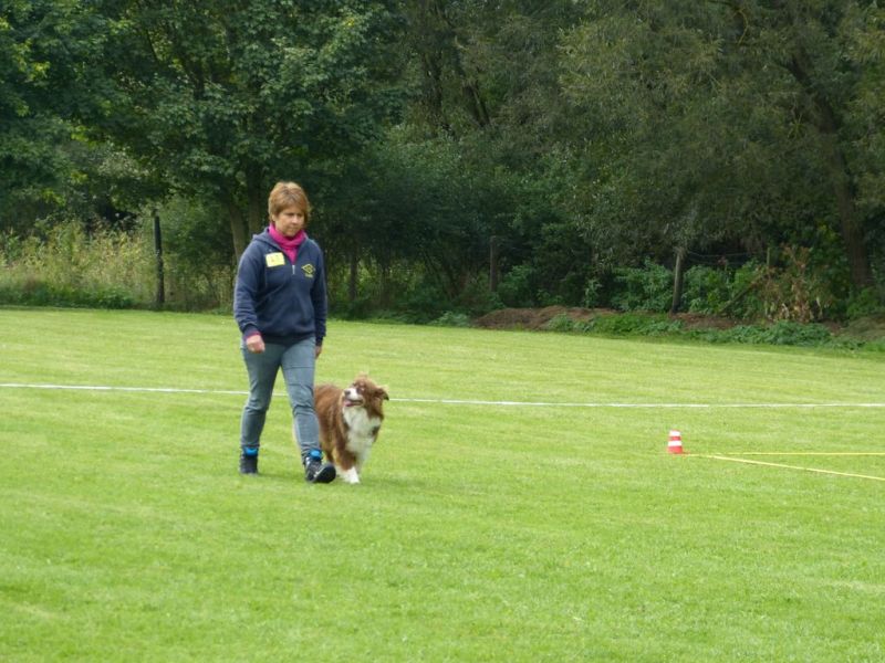 Obedience Prüfung 2015