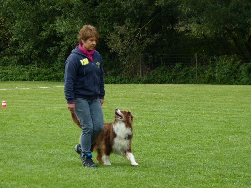 Obedience Prüfung 2015
