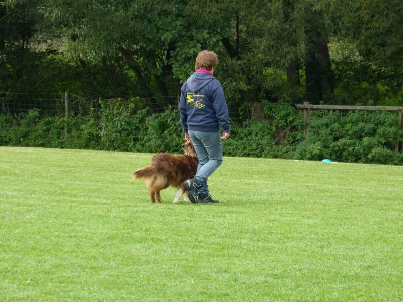 Obedience Prüfung 2015