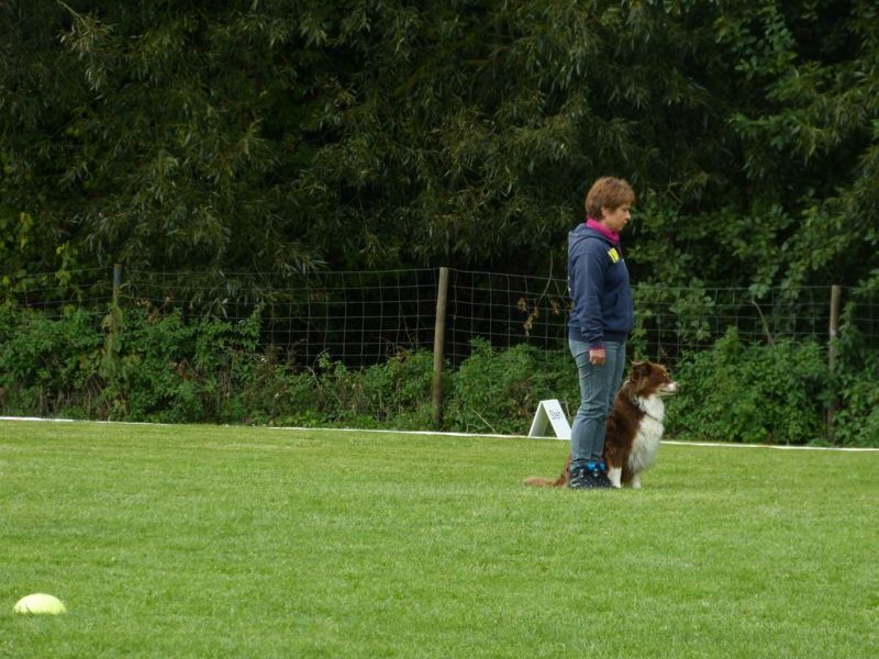 Obedience Prüfung 2015