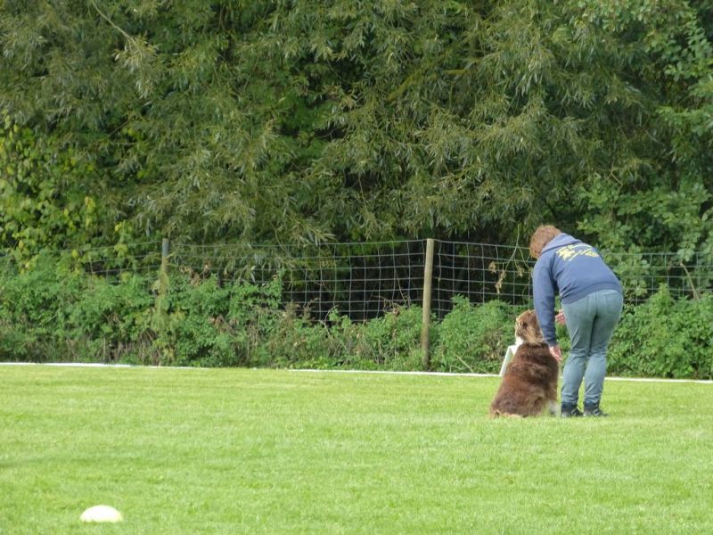 Obedience Prüfung 2015
