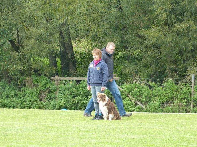 Obedience Prüfung 2015