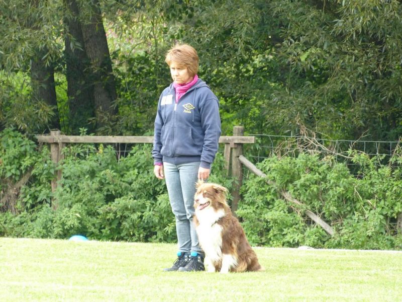 Obedience Prüfung 2015