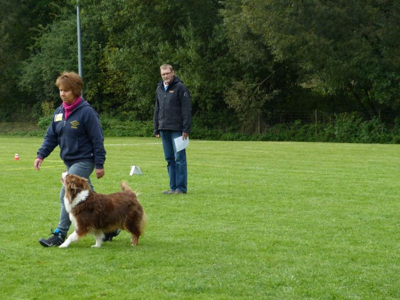Obedience Prüfung 2015