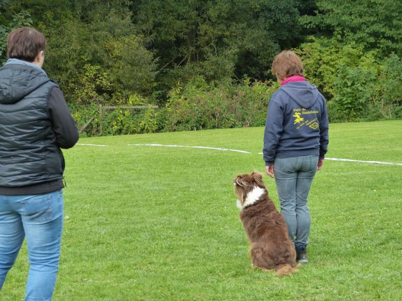 Obedience Prüfung 2015