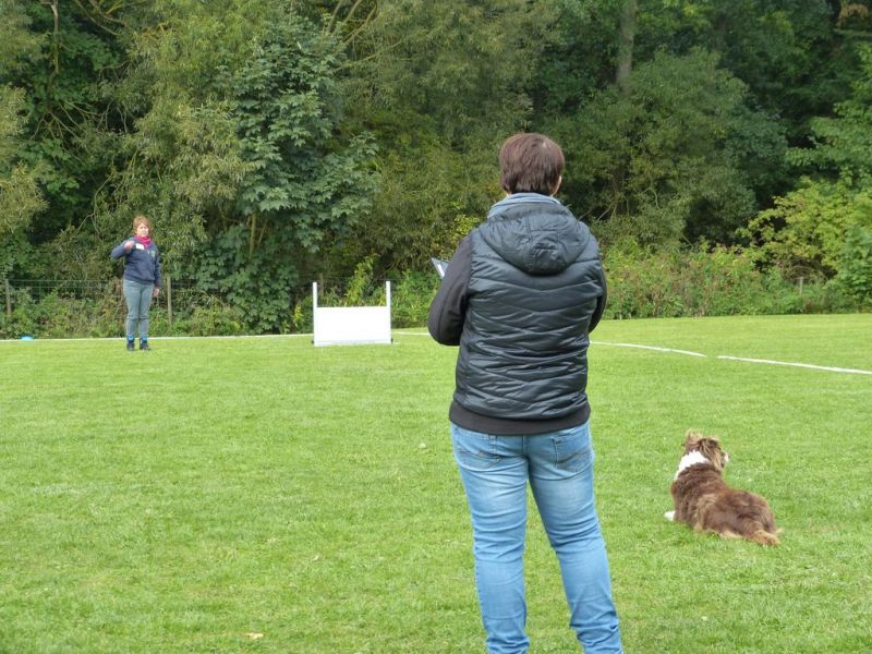 Obedience Prüfung 2015