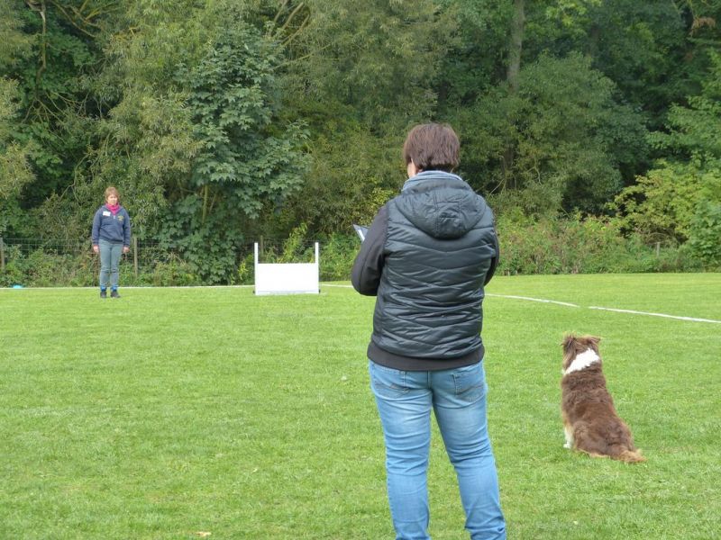 Obedience Prüfung 2015
