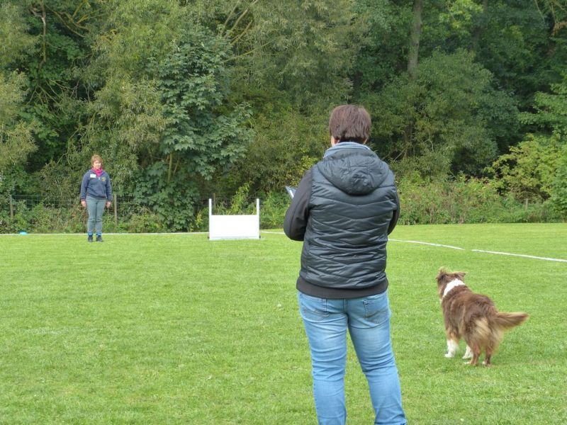 Obedience Prüfung 2015