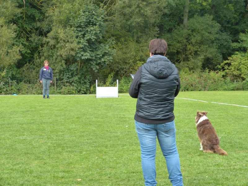 Obedience Prüfung 2015