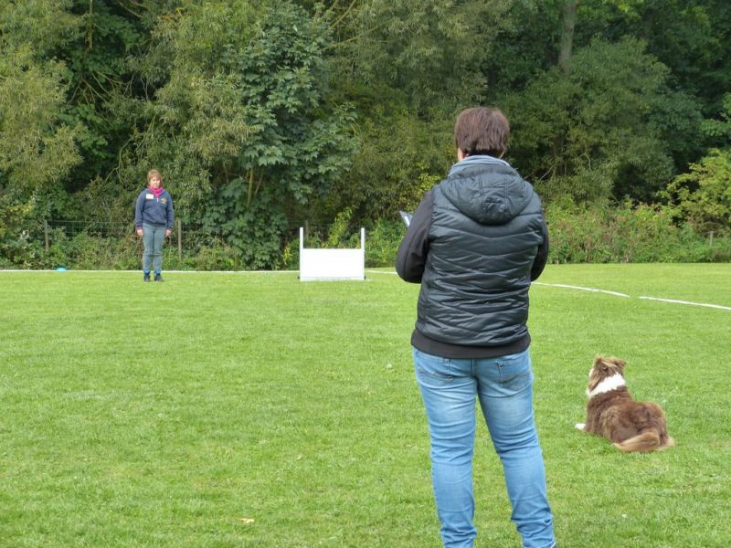 Obedience Prüfung 2015