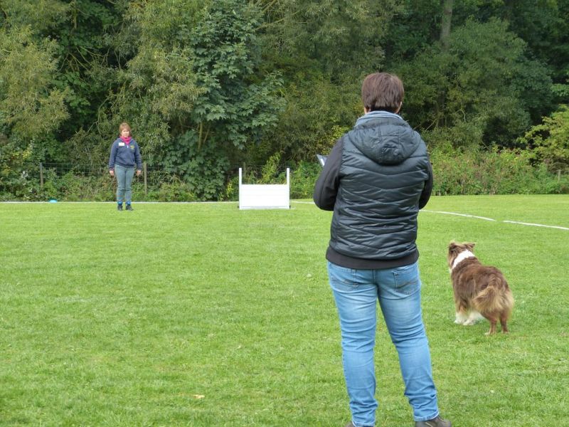 Obedience Prüfung 2015