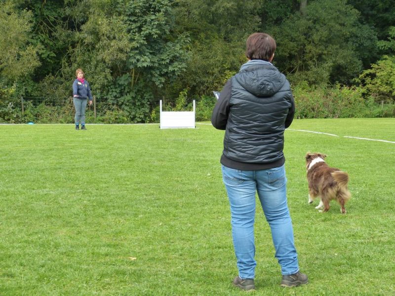 Obedience Prüfung 2015