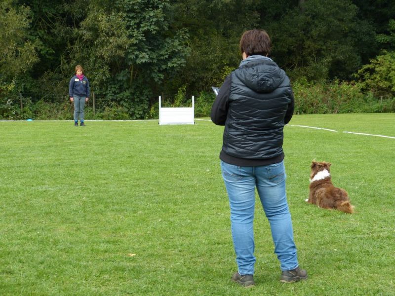 Obedience Prüfung 2015