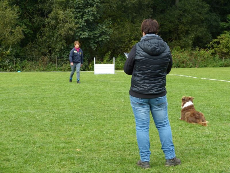 Obedience Prüfung 2015