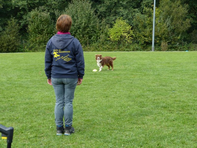 Obedience Prüfung 2015
