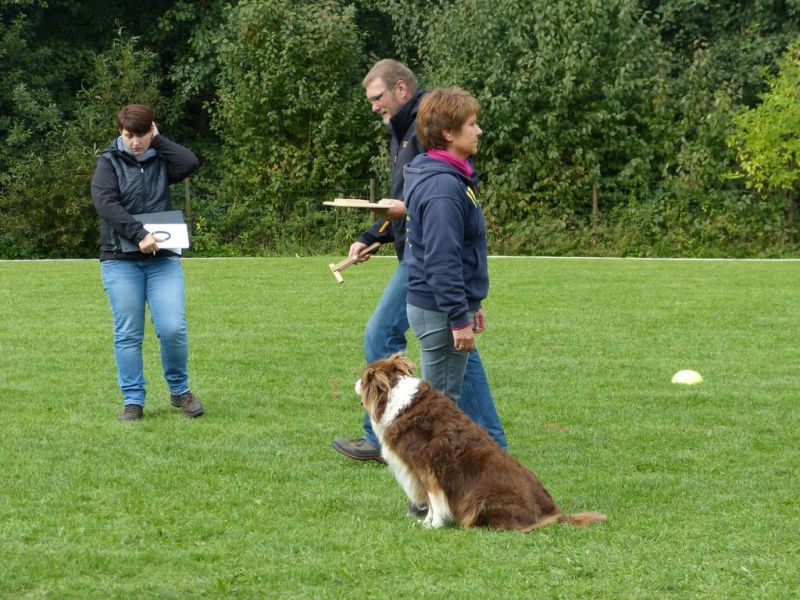 Obedience Prüfung 2015
