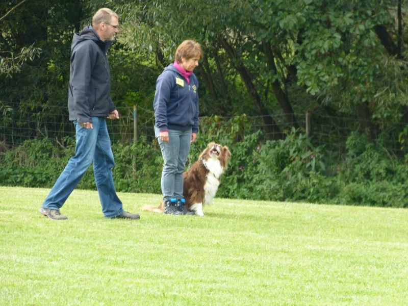 Obedience Prüfung 2015