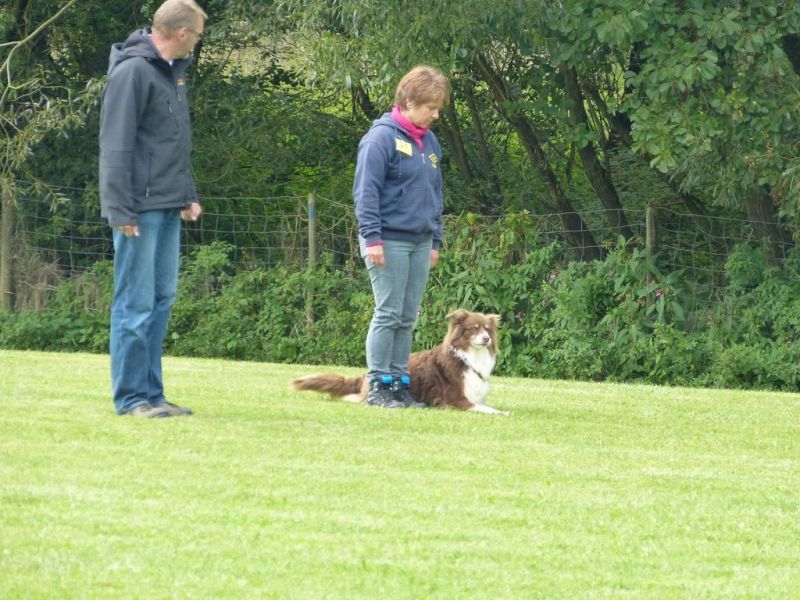Obedience Prüfung 2015