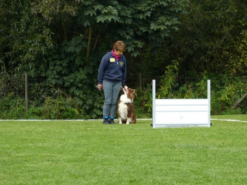 Obedience Prüfung 2015