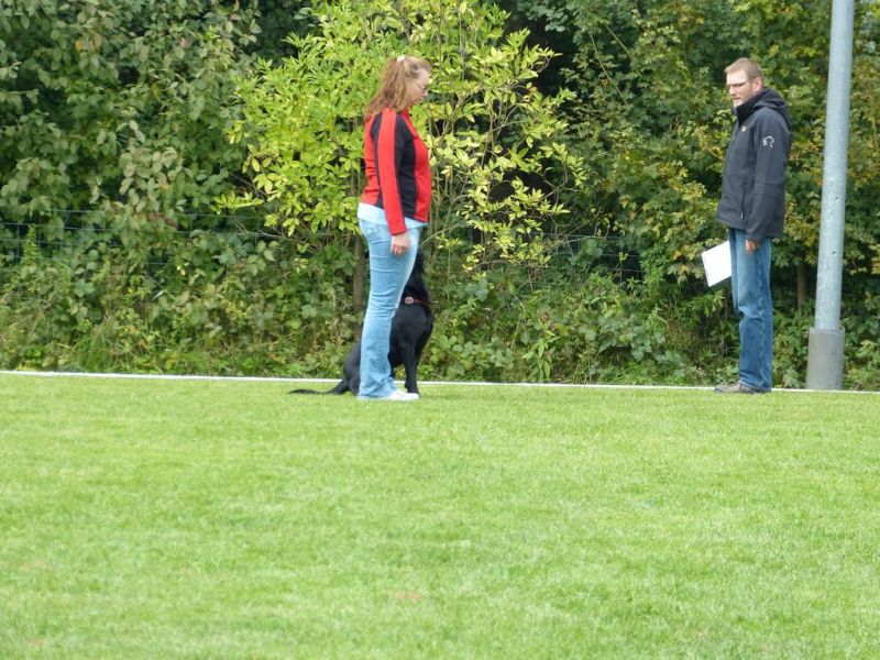 Obedience Prüfung 2015