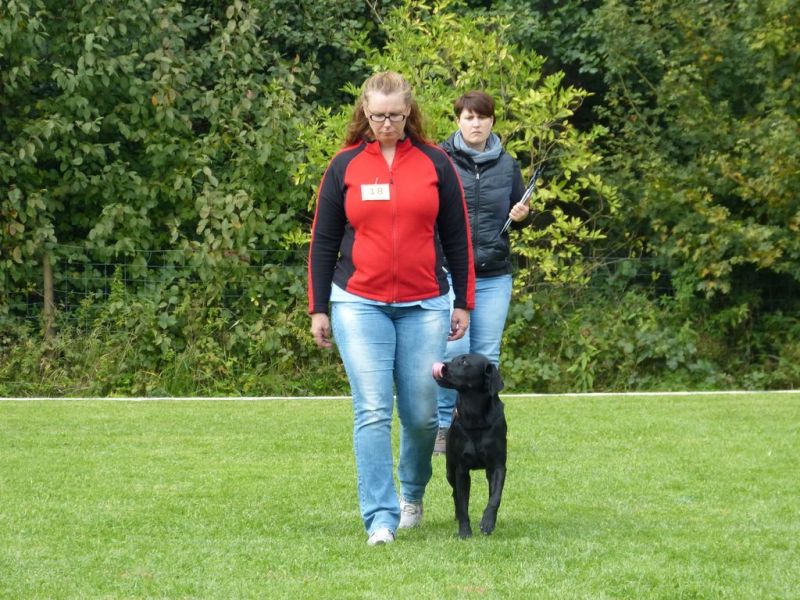 Obedience Prüfung 2015