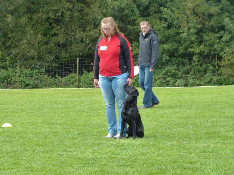Obedience Prüfung 2015