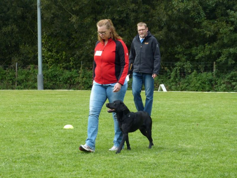Obedience Prüfung 2015