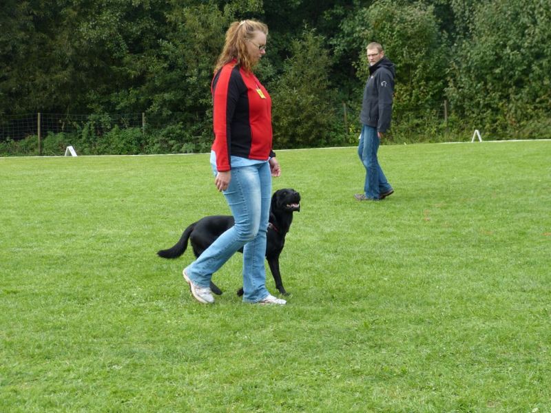 Obedience Prüfung 2015