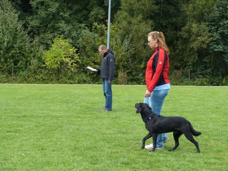 Obedience Prüfung 2015
