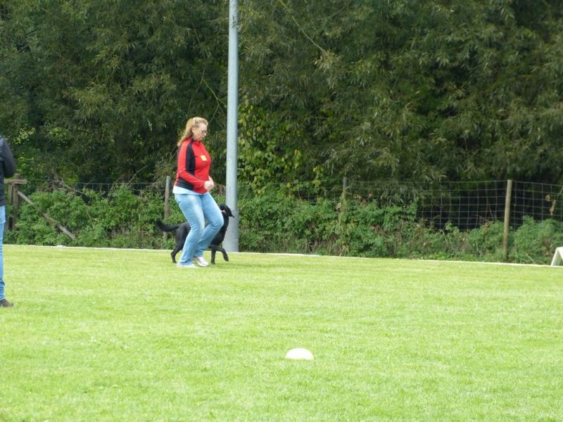 Obedience Prüfung 2015