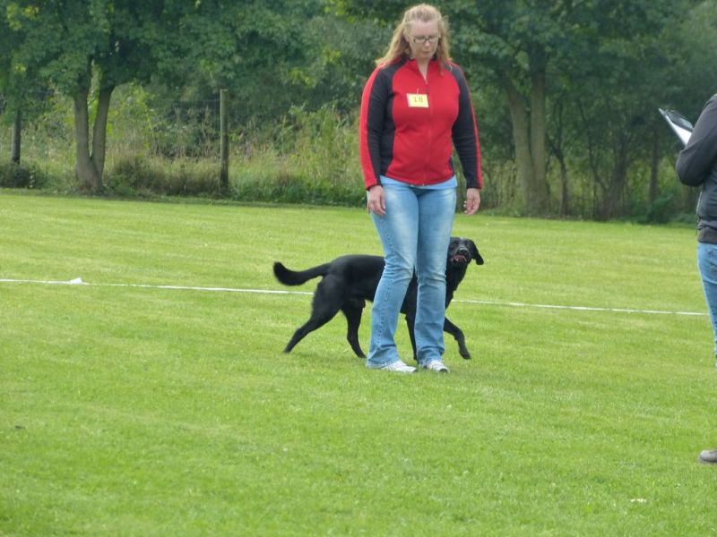 Obedience Prüfung 2015