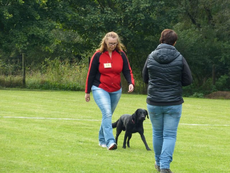 Obedience Prüfung 2015