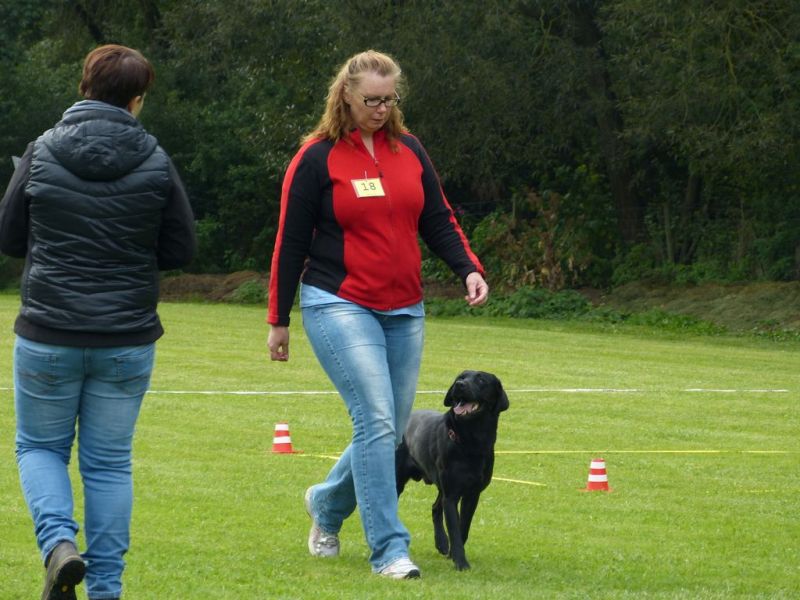 Obedience Prüfung 2015