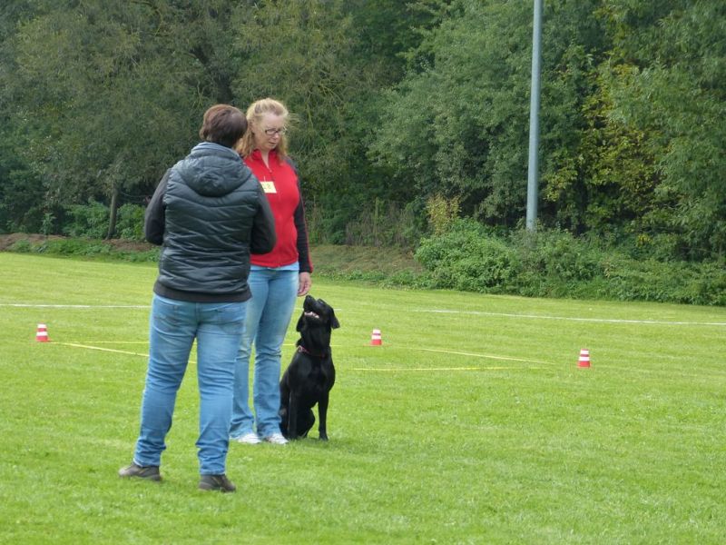 Obedience Prüfung 2015