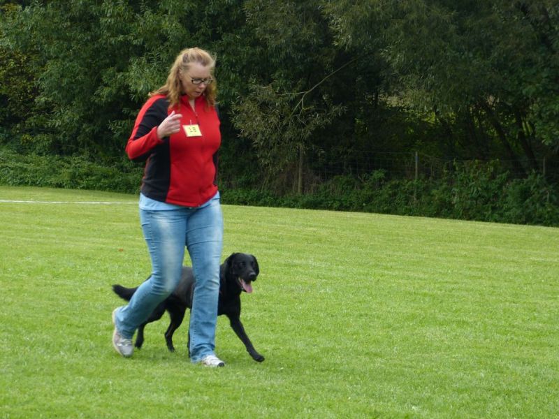 Obedience Prüfung 2015