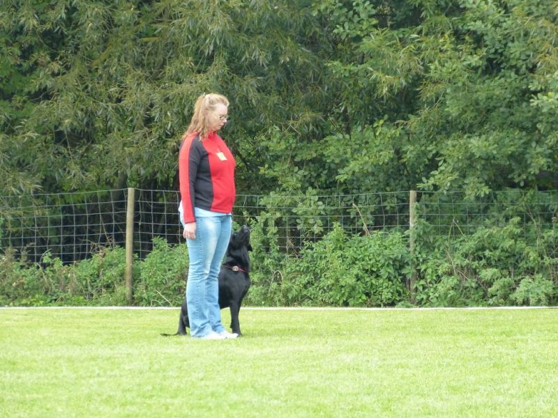 Obedience Prüfung 2015