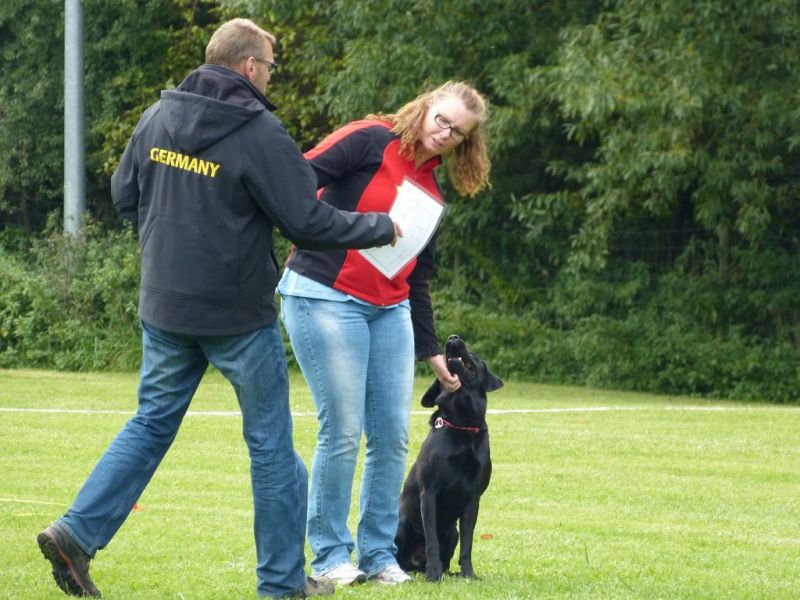 Obedience Prüfung 2015