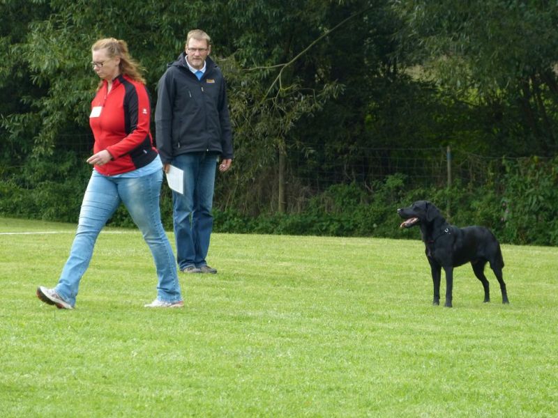 Obedience Prüfung 2015